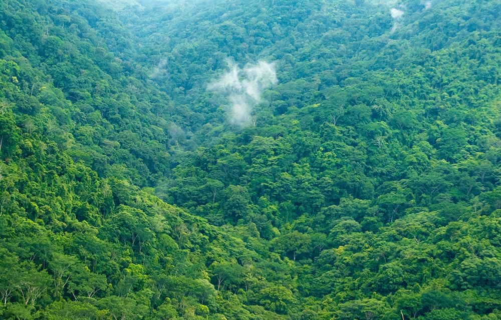 O impacto ambiental do hotel é importante para 66% dos viajantes