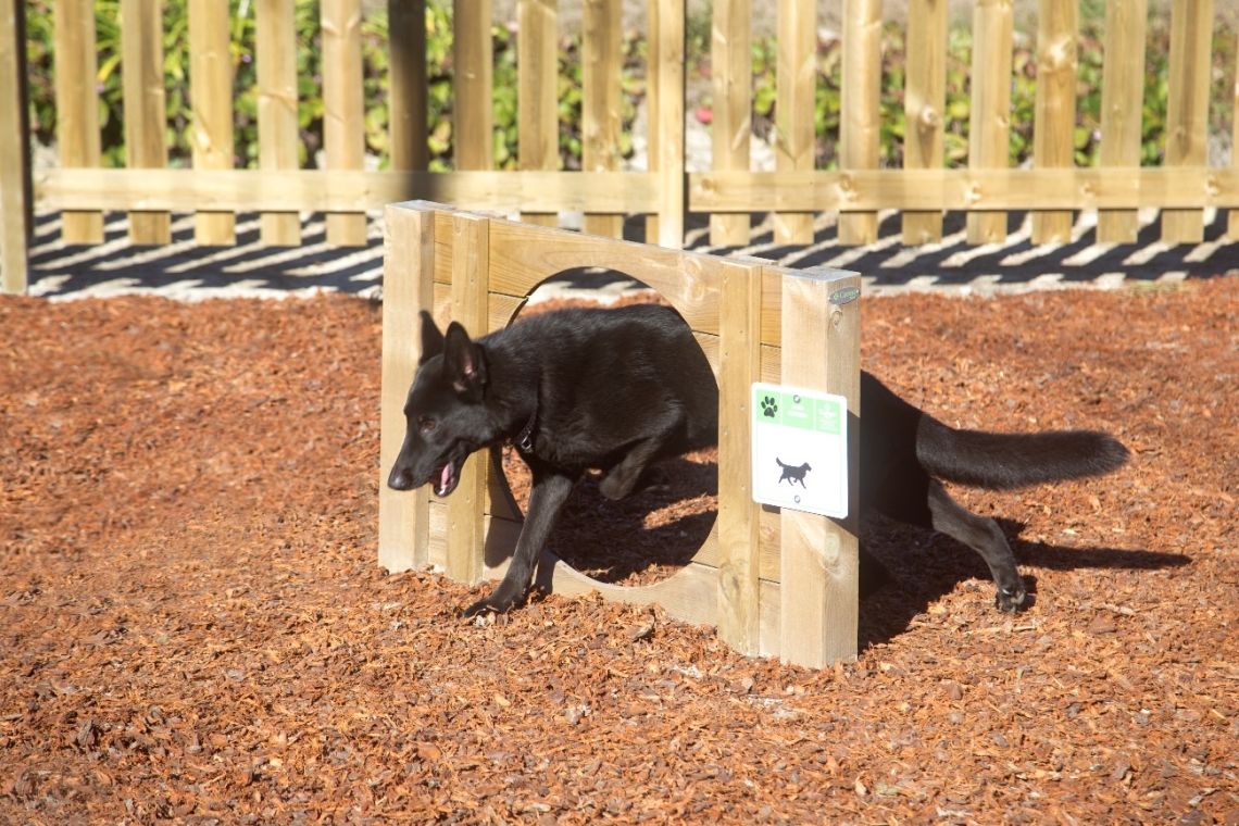 Carmo Wood reforça aposta no espaço urbano com lançamento dos novos Parques Caninos