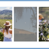 Harvest Party na Quinta da Roêda: a despedida do verão celebra-se com vinhos, petiscos e música no coração do Douro