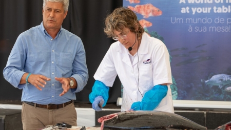 «Festival da Rota do Atum» em Porto Santo  com mais de 30 eventos durante 6 dias!