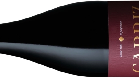Cabriz Escolha Tinto 2016:  um vinho "desenhado" para a restauração!