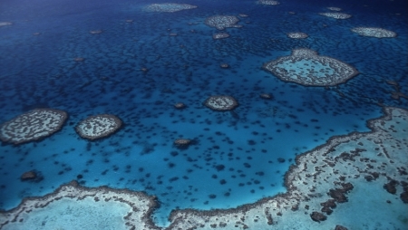 A Novotel celebra um ano de compromisso com os oceanos e de parceria sustentável com a WWF