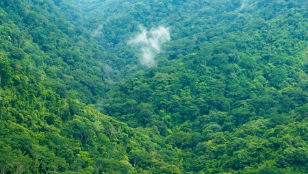 O impacto ambiental do hotel é importante para 66% dos viajantes