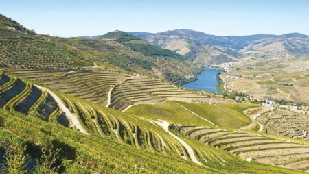 Turismo do Porto e Norte e Turismo de Castela e Leão preparam Douro/Duero como grande marca turística internacional