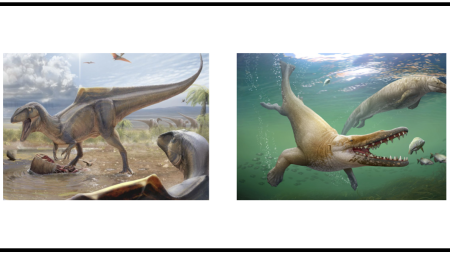 Dino Parque Lourinhã e o Museu da Lourinhã organizam exposição com o melhor da ilustração científica em Portugal