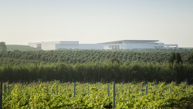 Paço dos Infantes: uma nova história a ser contada no Alentejo