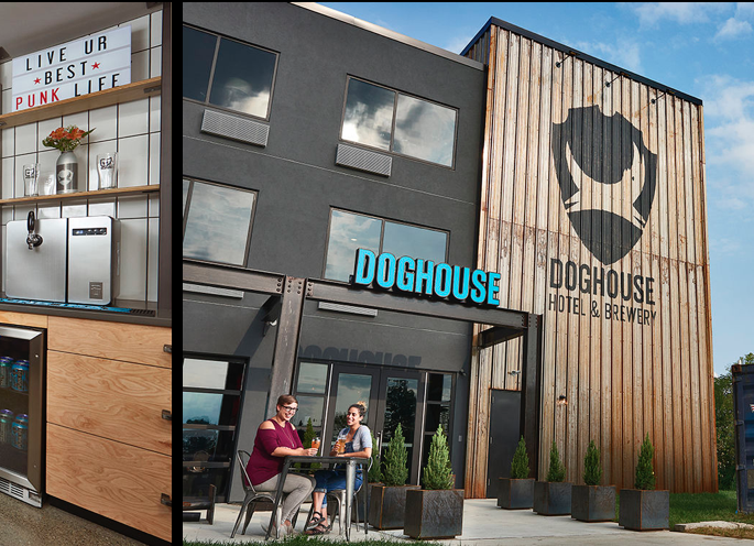 Abriu o DogHouse, o primeiro hotel para os amantes da cerveja