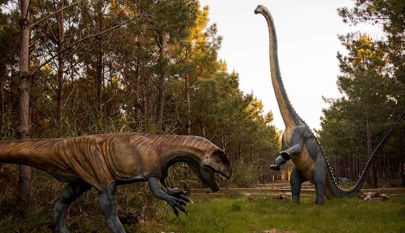 Dino Parque distinguido pelo sexto ano consecutivo com o Prémio Cinco Estrelas Regiões