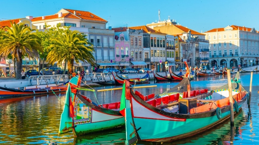 | Summer Wine Market – AVEIRO